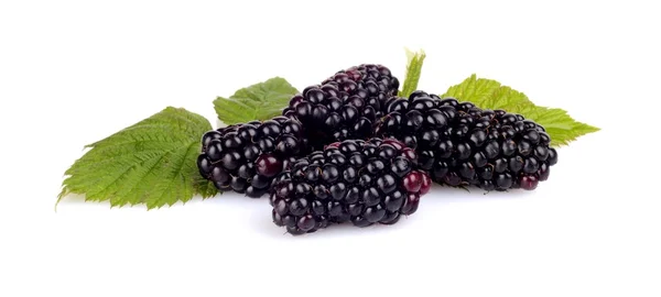 Foto muchas moras con hojas aisladas blancas — Foto de Stock