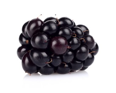 Stüdyo izole bir taze böğürtlen beyaz vurdu 