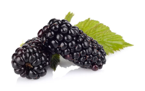Studio shot of two fresh blackberries with leaves isolated white — Stock Photo, Image