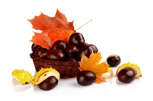 Closeup basket with chestnuts and leaves isolated on white — Stock Photo, Image