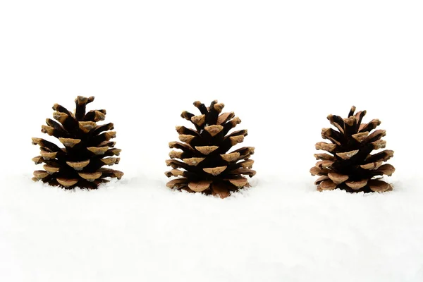 Three christmas pine cones on snow in line — Stock Photo, Image