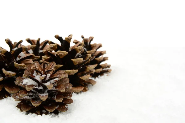 Grupo de conos de pino de Navidad en la nieve en la esquina — Foto de Stock