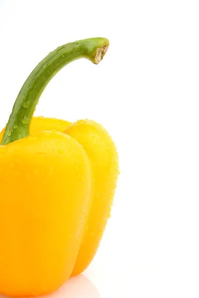 Vergrote weergave één natte gele peper geïsoleerd — Stockfoto