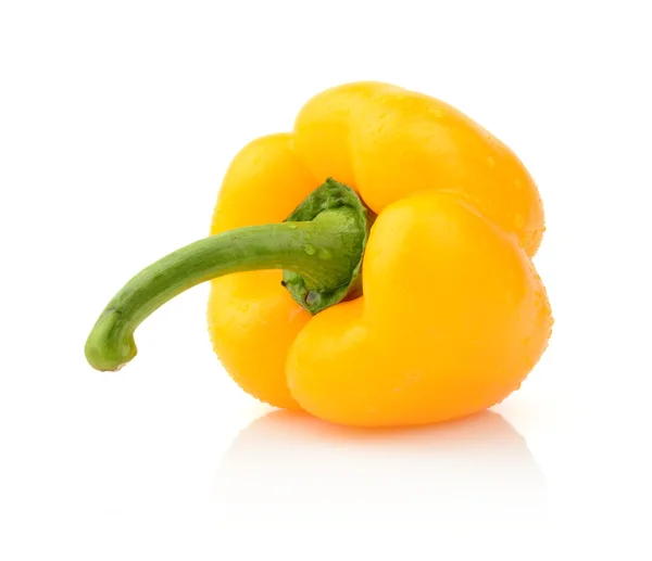 Single wet yellow pepper close-up view isolated — Stock Photo, Image