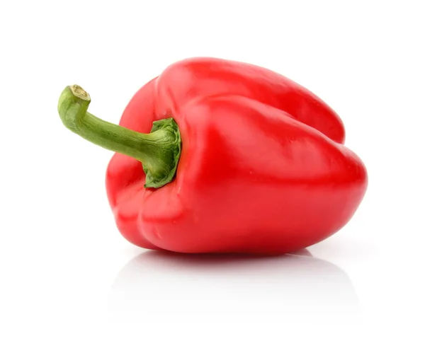 Single red pepper close-up view isolated white — Stock Photo, Image
