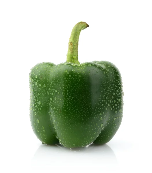 Single wet green pepper close-up isolated white — Stock Photo, Image