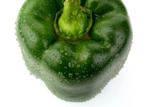 Vista de cerca de pimiento verde único desde la parte superior aislado — Foto de Stock