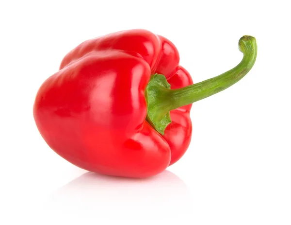 Studio shot of red bell pepper isolated on white — Stock Photo, Image