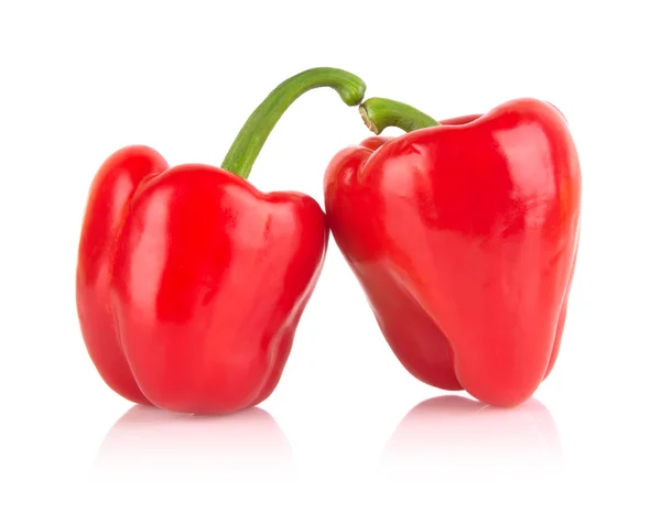 Студійний знімок двох червоних болгарських перців ізольовано на білому — стокове фото