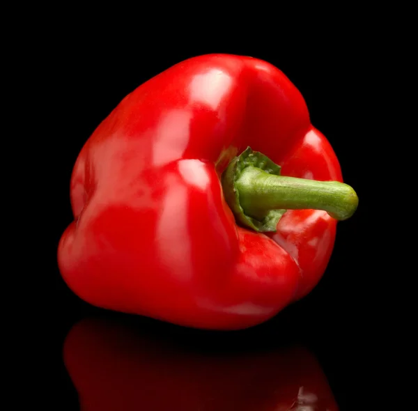 Estúdio tiro de pimentão vermelho isolado fundo preto — Fotografia de Stock