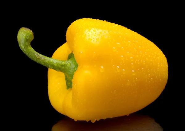 Studio shot of yellow bell pepper isolated on black with water d — Stock Photo, Image