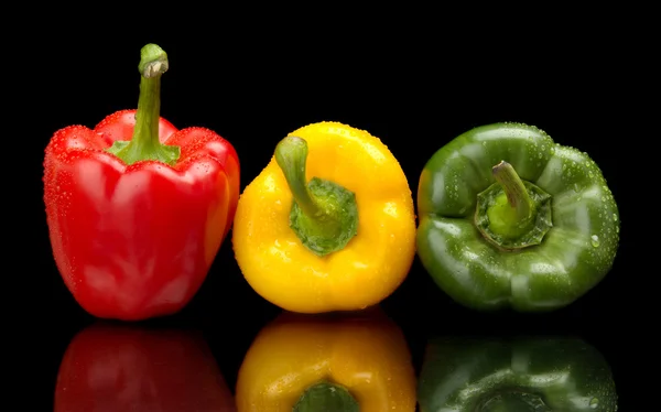 Červená, zelená, žlutá mokré papriky na černém kapkami vody — Stock fotografie