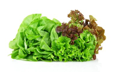 Many varieties of lettuce on white clipart
