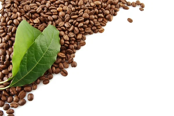 Collected coffee beans in the corner with leaf on white — Stock Photo, Image