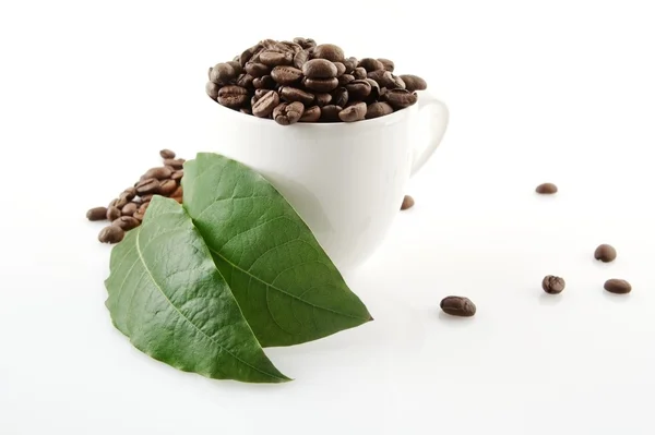 Kaffekopp full av kaffebönor — Stockfoto