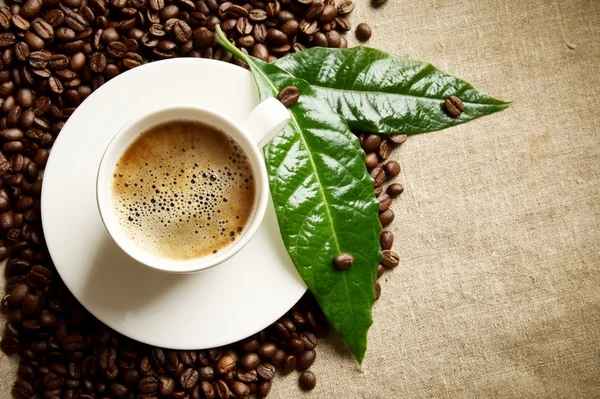 Coffee with foam cup with beans on the left with green leaf on flax — Stock Photo, Image