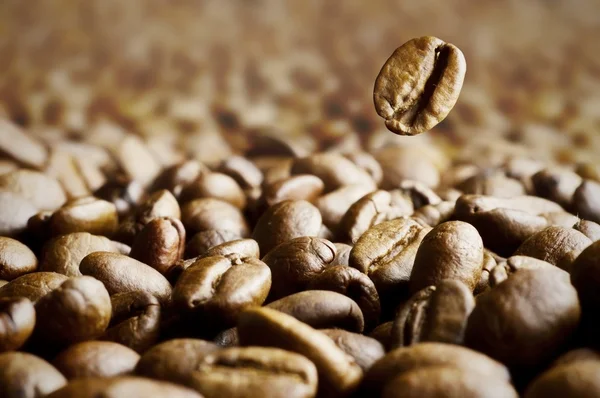 Macro shot of coffee bean thrown in coffee beans background — Stock Photo, Image
