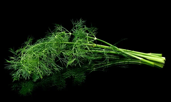 Dill leaves isolated on black — Stock Photo, Image