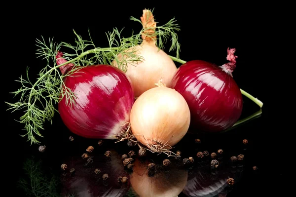 Onions,red onions,dill,pepper and allspice isolated on black — Stock Photo, Image