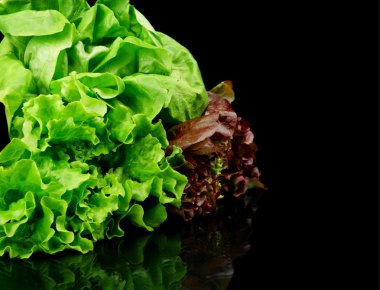 Many varieties of lettuce on black on the side clipart