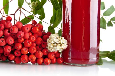 Kırpılan kırmızı kül Dut suyu beyaz üzerine kavanoz ile