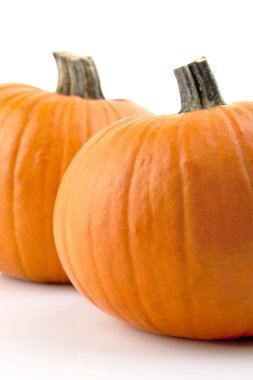 Kabaklar dekorasyon için şükran günü beyaz