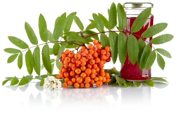 Rowanberry laranja com frasco de suco isolado no fundo branco — Fotografia de Stock