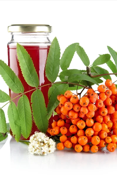 与罐果汁上白色孤立的橙色 rowanberry — 图库照片