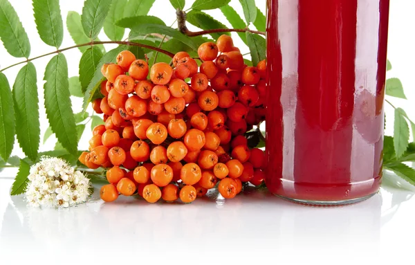 Gropped rowanberry laranja com frasco de suco em branco — Fotografia de Stock