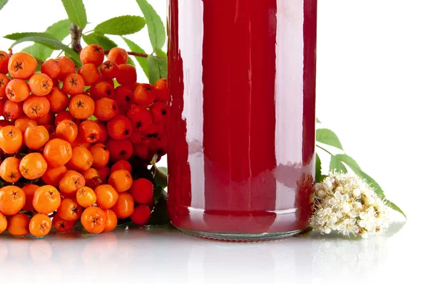 Kırpılan turuncu kül berry ile beyaz suyu kavanoz