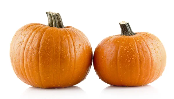 Gros plan de citrouilles perlées isolées sur blanc — Photo