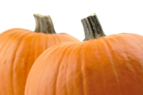 Decoración de calabazas para el día de acción de gracias en blanco —  Fotos de Stock