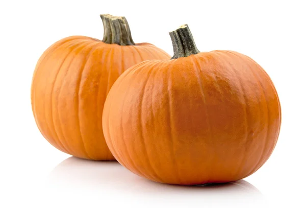 Estudio de calabazas aisladas en blanco —  Fotos de Stock