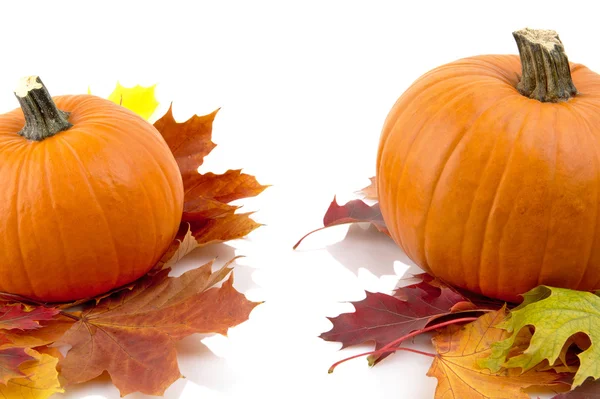 Dekoration von Kürbissen mit Herbstblättern zum Erntedankfest auf weiß — Stockfoto