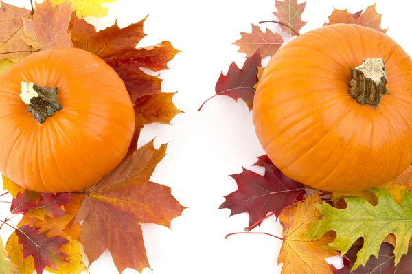 Dekoration von Kürbissen mit Herbstblättern zum Erntedankfest auf weiß — Stockfoto