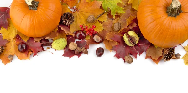 At the top pumpkins with autumn leaves for thanksgiving day — Stock Photo, Image