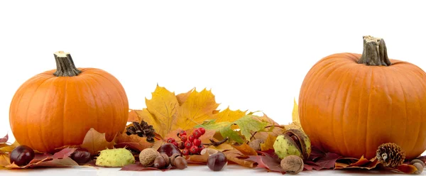 Calabazas con hojas de otoño para el día de acción de gracias sobre fondo blanco —  Fotos de Stock