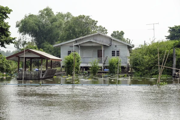 Asya house riverfront adlı