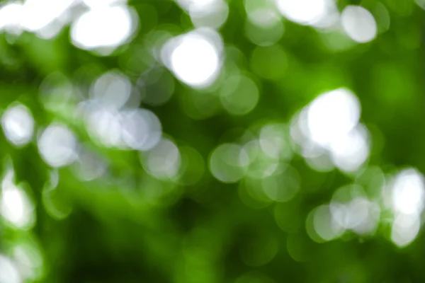 Fresh spring bokeh abstact background — Stock Photo, Image