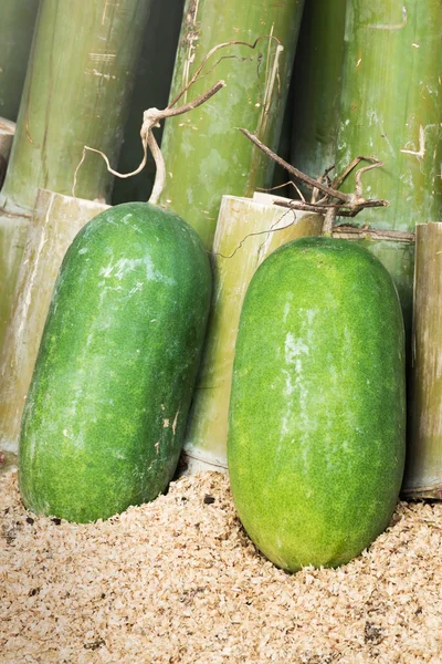 Green winter melon with bamboo background — Stock Photo, Image