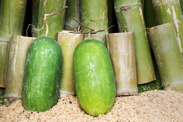 Groene winter meloen met bamboe achtergrond — Stockfoto