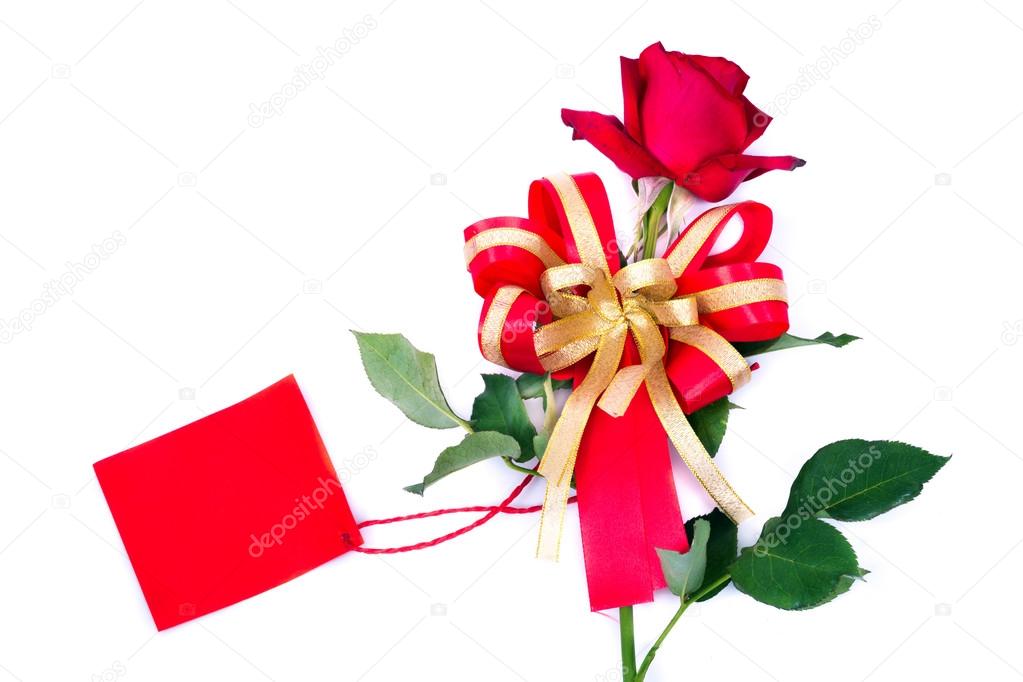 Red rose with blank card