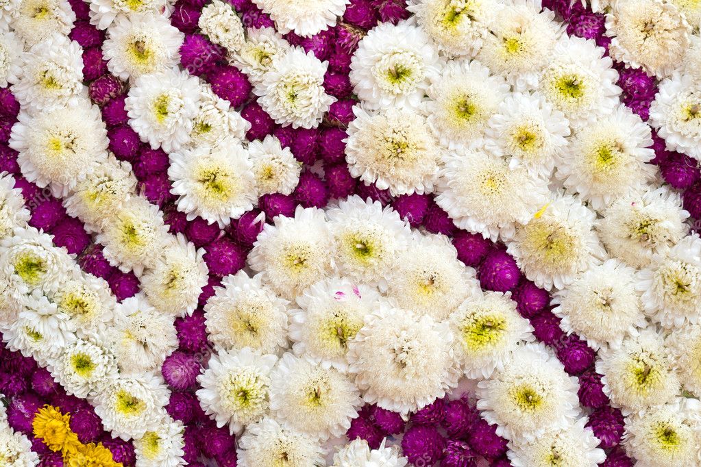 Colorful design pattern of flower texture and background