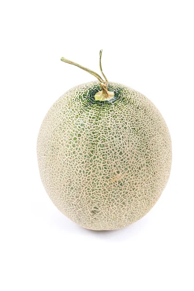 Gröna japanska melon i vit bakgrund — Stockfoto