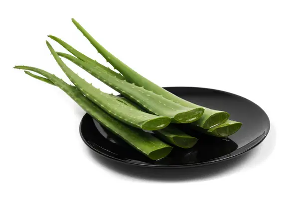 Green Aloe on white background — Stock Photo, Image