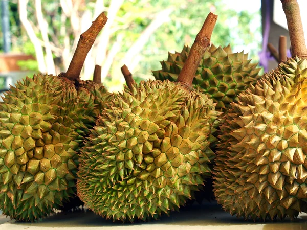 Durian na stole — Stock fotografie