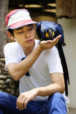 Güzel sümbül Amerika papağanı papağan ile Asya adam