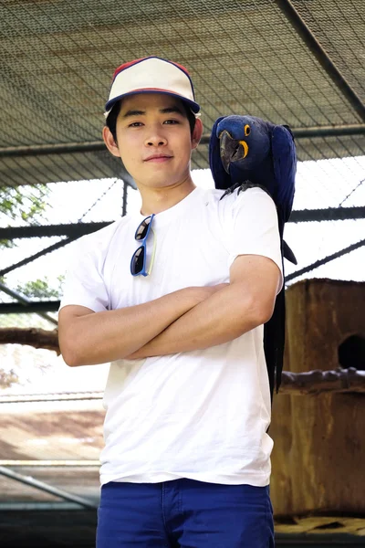 Asian man with beautiful Hyacinth macaw parrot — Stock Photo, Image