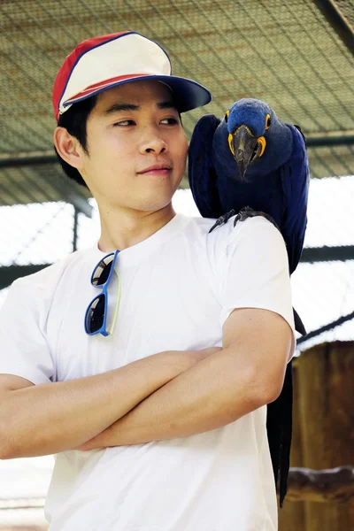 Asiatischer Mann mit wunderschönem Hyazinthe-Ara-Papagei — Stockfoto