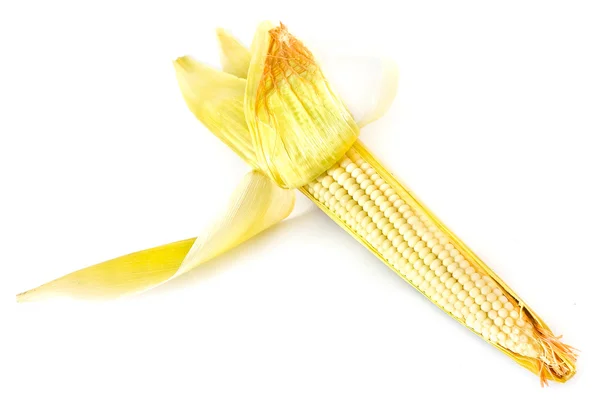 Yellow Corn in isolated — Stock Photo, Image